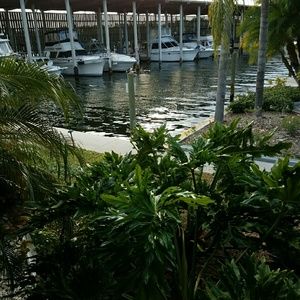 Meet your Posher, Tracie