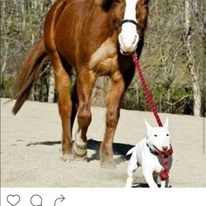 Meet your Posher, Ali