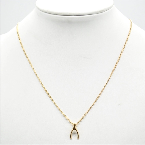 (O2) Wishbone Necklace - Picture 2 of 2