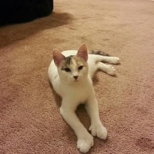 Meet your Posher, Gail