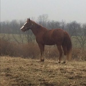 Meet your Posher, Kenzy