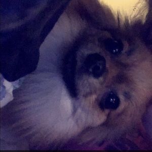 Meet your Posher, Olivia