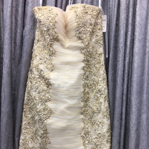 Tony Bowls champagne dress
