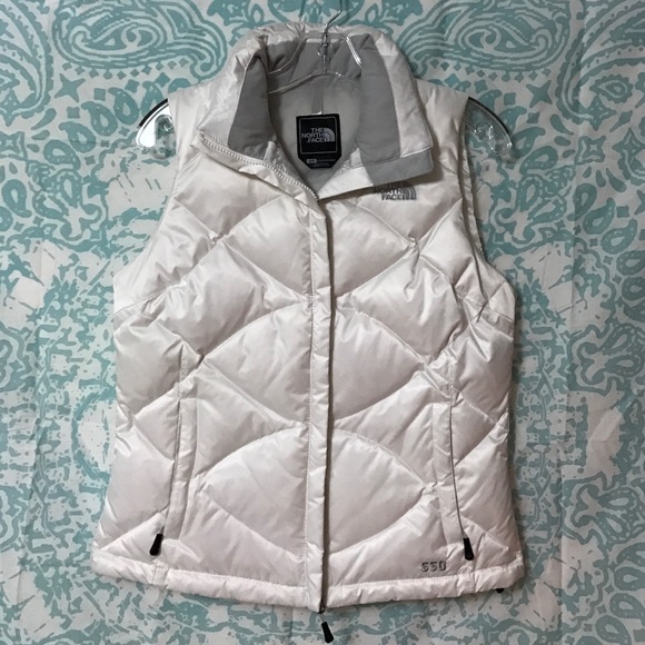 THe north face vest
