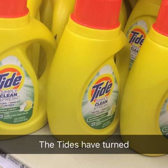 Meet your Posher, William - Picture 1 of 1