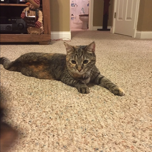 Meet your Posher, Lori