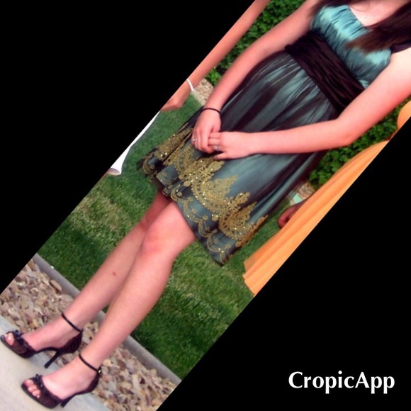 Blue and Brown Dress - Picture 4 of 4