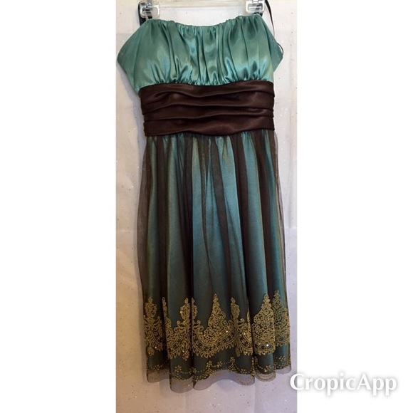 Blue and Brown Dress - Picture 1 of 4