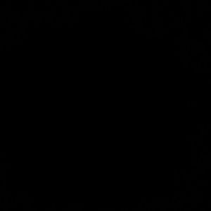 Meet your Posher, Sally