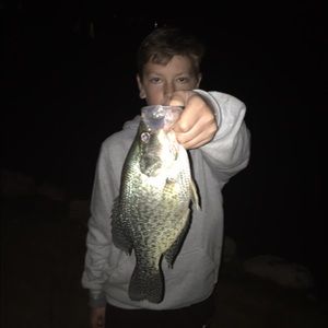 Meet your Posher, Sam