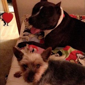 Meet your Posher, Maria