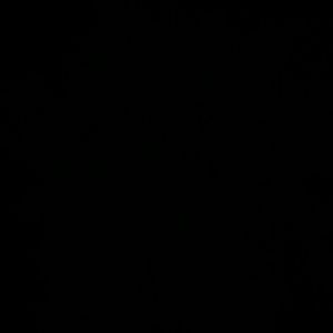 Meet your Posher, Omar