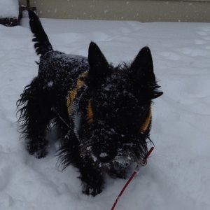 Meet your Posher, Janice