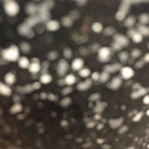 Meet your Posher, Adrian