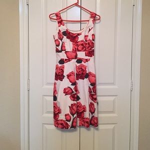 Gorgeous flattering A-line dress