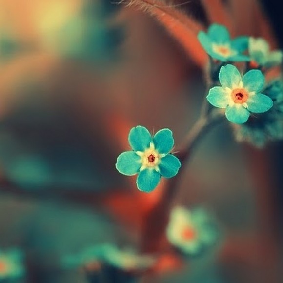 Meet your Posher, Kavya