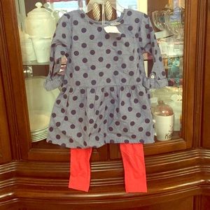 Carter's 2pc 4T girls outfit