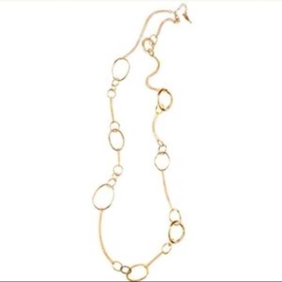 Chloe + Isabel Long Organic Link Necklace ⭐️