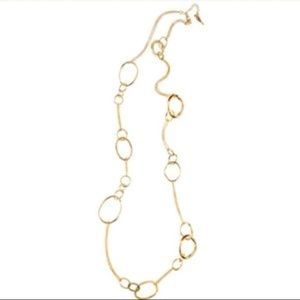 Chloe + Isabel Long Organic Link Necklace ⭐️