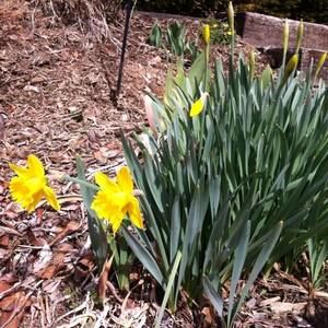 Meet your Posher, Juli thomas