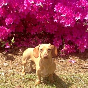 Meet your Posher, Vickie