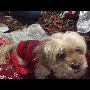 Meet your Posher, Denise