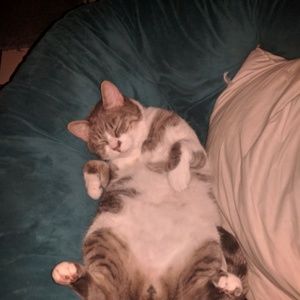 Meet your Posher, Leslie