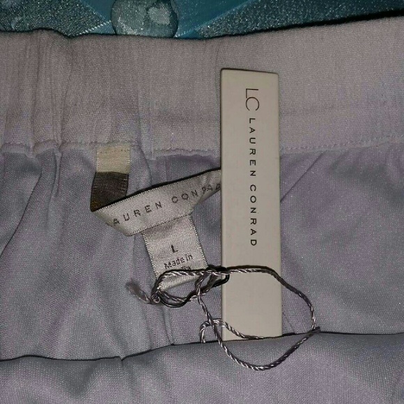 Light Blue Embroidered Fringe Shorts - Picture 4 of 4