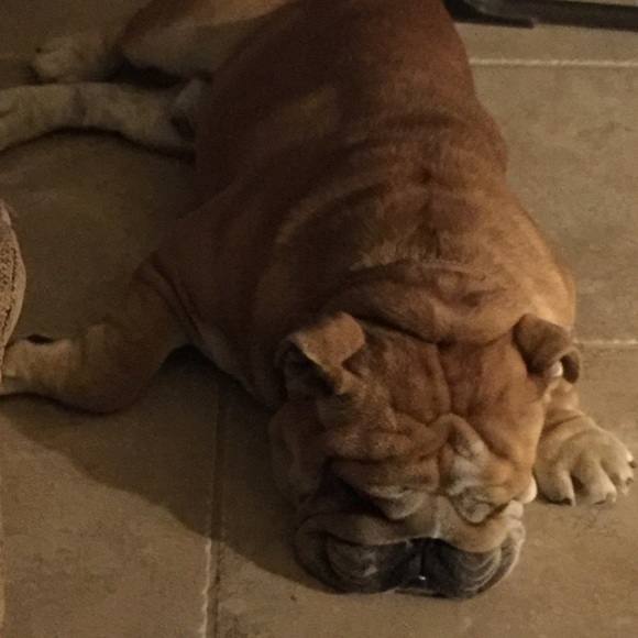 Meet your Posher, Elena - Picture 1 of 1