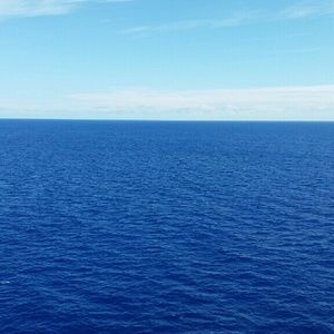 Meet your Posher, Yolanda