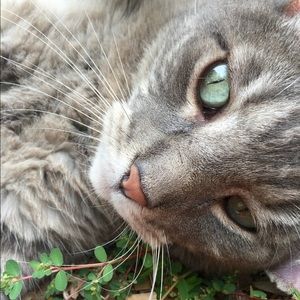 Meet your Posher, Hailey