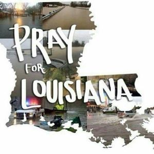 Meet your Posher, Carley