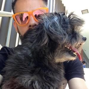 Meet your Posher, Alfred