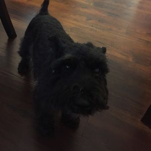 Meet your Posher, Jimena