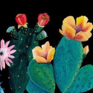 Meet your Posher, Kallie