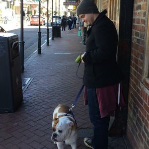 Meet your Posher, Brady