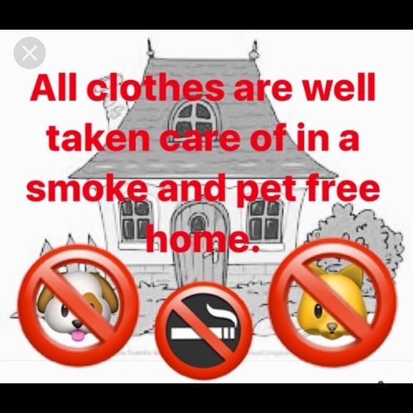 Meet your Posher, Ariel - Picture 5 of 8