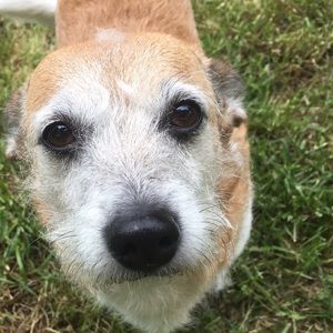 Meet your Posher, Korrin