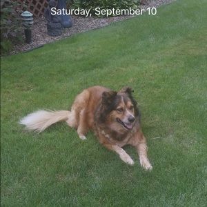 Meet your Posher, Irene