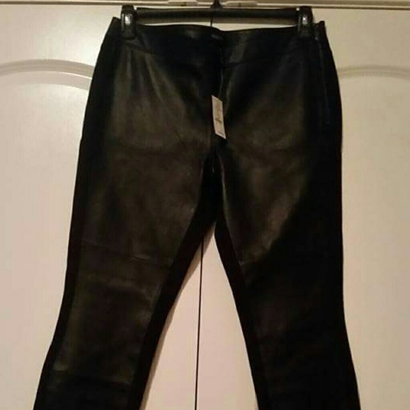 Riding Pants - Picture 1 of 2