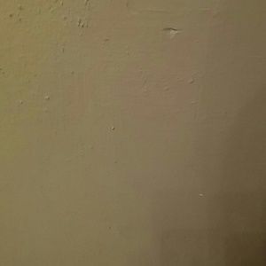 Meet your Posher, Geri