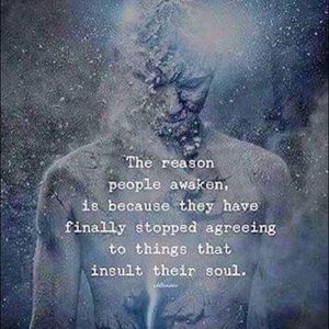 Meet your Posher, Kien