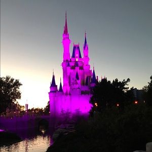 Meet your Posher, Paige