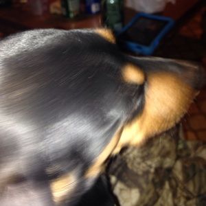 Meet your Posher, Deb