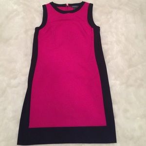 Ralph Lauren Pink and Navy Dress