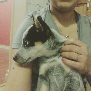 Meet your Posher, Lucy