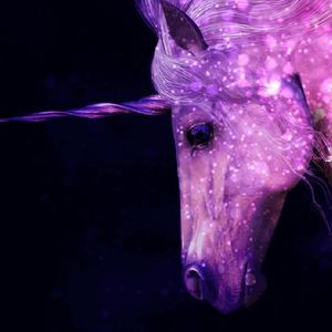 Meet your Posher, Ondrea