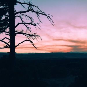 Meet your Posher, Sayge