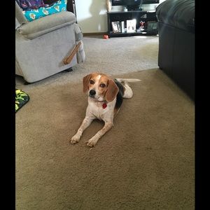 Meet your Posher, Laveda