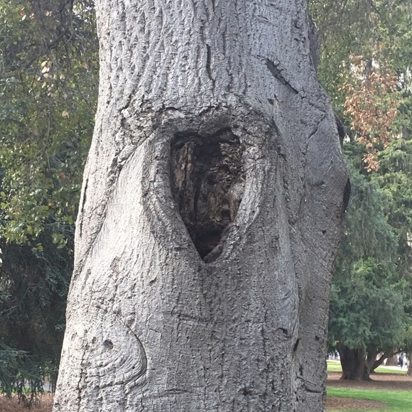 Meet your Posher, Eileen - Picture 1 of 1